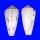 CONIDAE CONUS GUBERNATOR shell