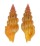 TURRIDAE LIENARDIA ROSEOTINCTA shell