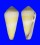 CONIDAE CONUS TEREBRA shell
