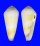 CONIDAE CONUS TEREBRA shell