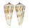 CONIDAE CONUS TRIBBLEI shell