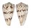 CONIDAE CONUS NICOBARICUS shell
