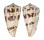 CONIDAE CONUS NICOBARICUS shell