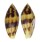 CONIDAE CONUS MITRATUS shell