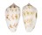 CONIDAE CONUS BALABACENSIS shell
