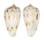 CONIDAE CONUS BALABACENSIS shell