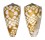 CONIDAE CONUS CORDIGERA shell
