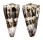 CONIDAE CONUS IMPERIALIS shell