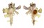 MURICIDAE HOMALOCANTHA ZAMBOI shell