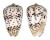 CONIDAE CONUS PULICARIUS shell