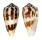 CONIDAE CONUS MAGUS shell