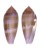 CONIDAE CONUS GRANUM shell