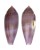 CONIDAE CONUS GRANUM shell