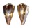 CONIDAE CONUS VEXILLUM shell