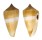 CONIDAE CONUS FURVUS shell