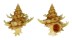 CORALLIOPHILIDAE BABELOMUREX PRINCEPS shell