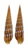 TEREBRIDAE TEREBRA UNDULATA shell
