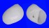 NATICIDAE POLINICES MAMMILLA shell