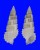 CERITHIIDAE CERITHIUM SCOBINIFORME shell