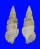 CERITHIIDAE CERITHIUM SCOBINIFORME shell