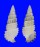 CERITHIIDAE CERITHIUM SCOBINIFORME shell