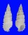 CERITHIIDAE CERITHIUM SCOBINIFORME shell