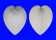 CARDIIDAE LUNULICARDIA HEMICARDIUM shell