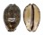 CYPRAEIDAE MAURITIA ARABICA shell