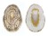 ACMAEIDAE LOTTIA ANTILLARUM shell