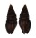 TURRIDAE CRASSISPIRA XANTI shell