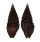 TURRIDAE CRASSISPIRA XANTI shell