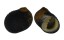 NERITIDAE NERITA SCABRICOSTA shell