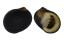 NERITIDAE NERITA SCABRICOSTA shell