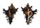 MURICIDAE CHICOREUS BRUNNEUS shell
