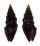 TURRIDAE CRASSISPIRA NIGERRIMA shell
