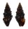 TURRIDAE CRASSISPIRA CERITHOIDEA shell