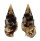 CERITHIIDAE CERITHIUM MACULOSUM shell