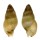 COLUMBELLIDAE MITRELLA SANTABARBARENSIS shell