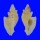 MURICIDAE PROTOTYPHIS ANGASI shell