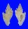 MURICIDAE PROTOTYPHIS ANGASI shell