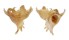 CORALLIOPHILIDAE LATIAXIS MAWAE shell
