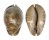 CYPRAEIDAE TRONA STERCORARIA shell
