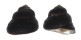 TROCHIDAE CHLOTOSTOMA ARGYROSTOMA shell