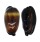CYPRAEIDAE TALPARIA TALPA shell