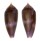 CONIDAE CONUS GRANUM shell