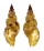 TURRIDAE TRITONOTURRIS CUMINGII shell