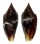 RAPHITOMIDAE DAPHNELLA OLYRA shell
