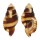 RANELLIDAE CYMATIUM FLAVEOLUM shell