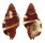 RANELLIDAE SEPTA RUBECULUM shell