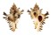 MURICIDAE CHICOREUS BRUNNEUS shell